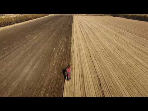 CASE IH tractor and Kverneland plough work in Northeast of China凯斯拖拉机配格兰五铧犁在黑龙江作业