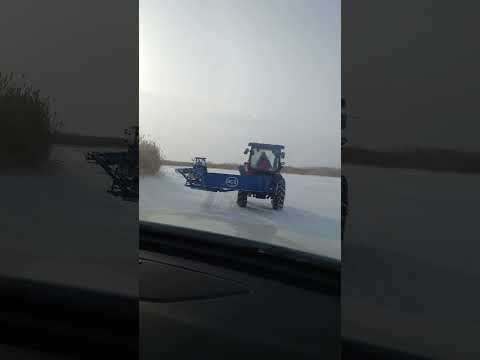 BCS reaper binders set out for reed harvesting in Inner Mongolia
