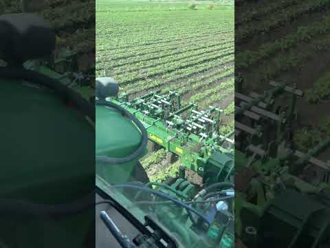 Garford InterRow working in China