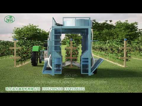 气吹浆果采收机动画原理/animation of KOKAN 500S berry harvester