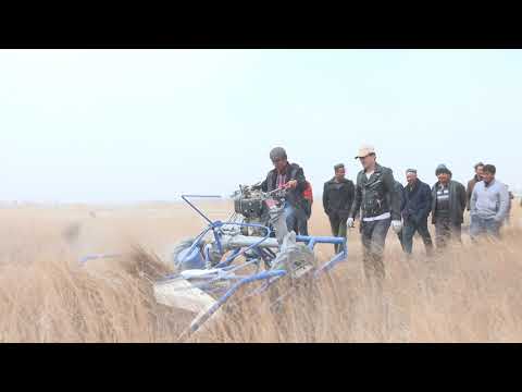 BCS 622 reaper binder harvest reed in Taklamakan desert意大利割捆机在塔克拉玛干沙漠边缘收割芦苇