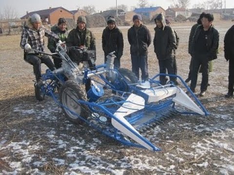 BCS reaper binder harvest reed demo in NorthEast of China意大利割捆机在中国东北收割芦苇