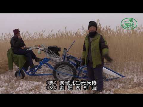 Legend of Reed Heroes，Salute to Louis Cha （《芦苇英雄传》向金庸先生致敬）