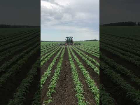 Garford Interrow is weeding before heavy rain