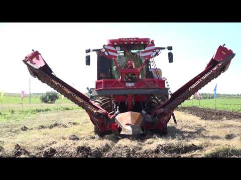 HOLMER Demo in China荷马糖业召开甜菜机械化演示会