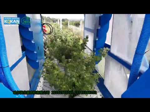 kokan 500s浆果收获机采收黑加仑/KOKAN 500S harvest black currant