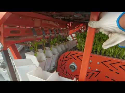 2 rows high speed transplanter made in China