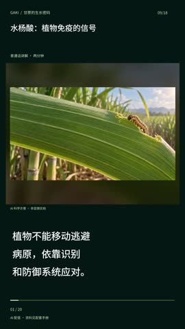 水杨酸：植物免疫的信号