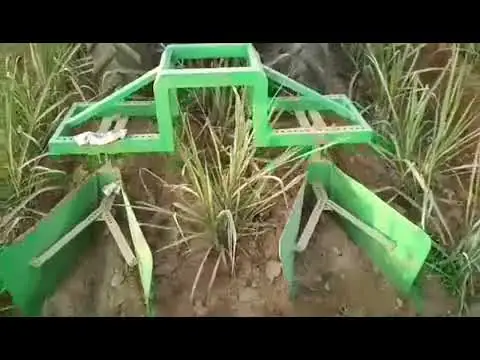 甘蔗田机械大培土