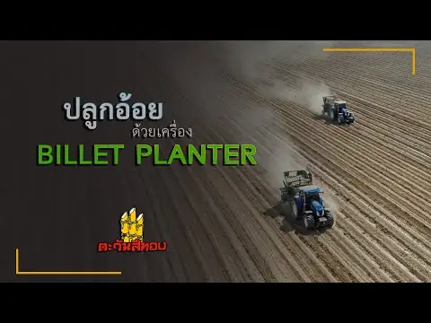 泰国甘烹碧甘蔗段种机连续作业