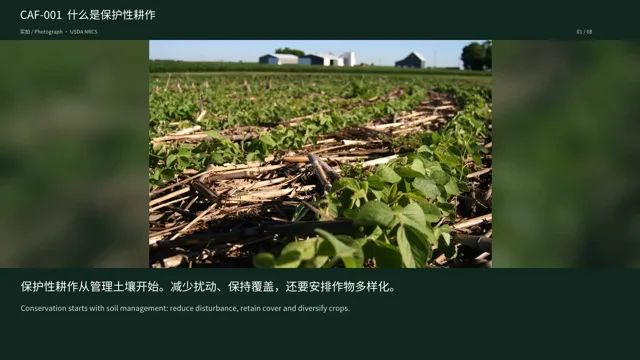 什么是保护性耕作