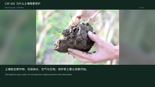 为什么土壤需要保护