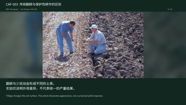 传统翻耕与保护性耕作的区别