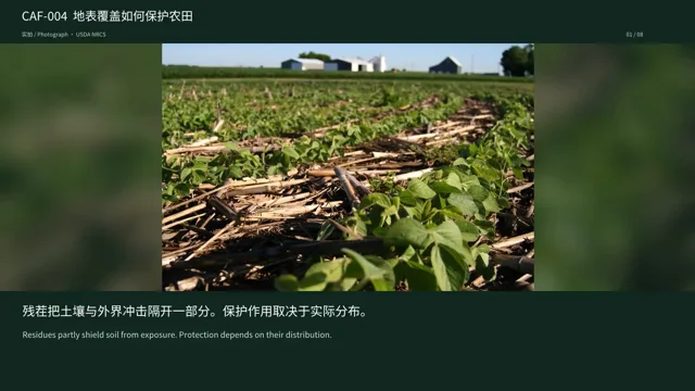 地表覆盖如何保护农田
