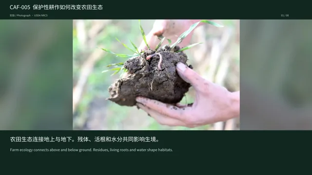 保护性耕作如何改变农田生态