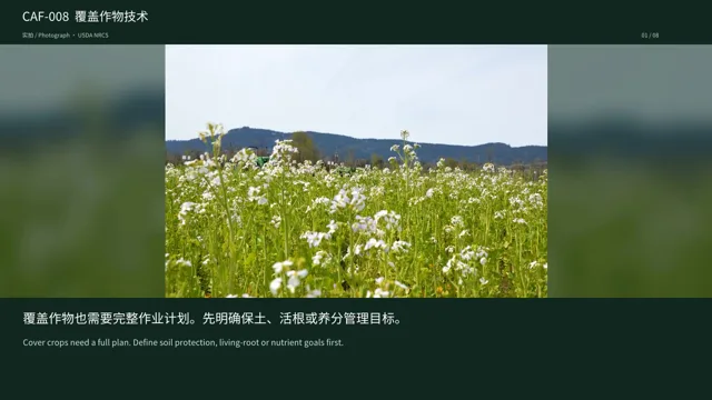 覆盖作物技术