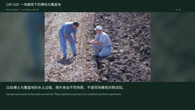 一场暴雨下的裸地与覆盖地