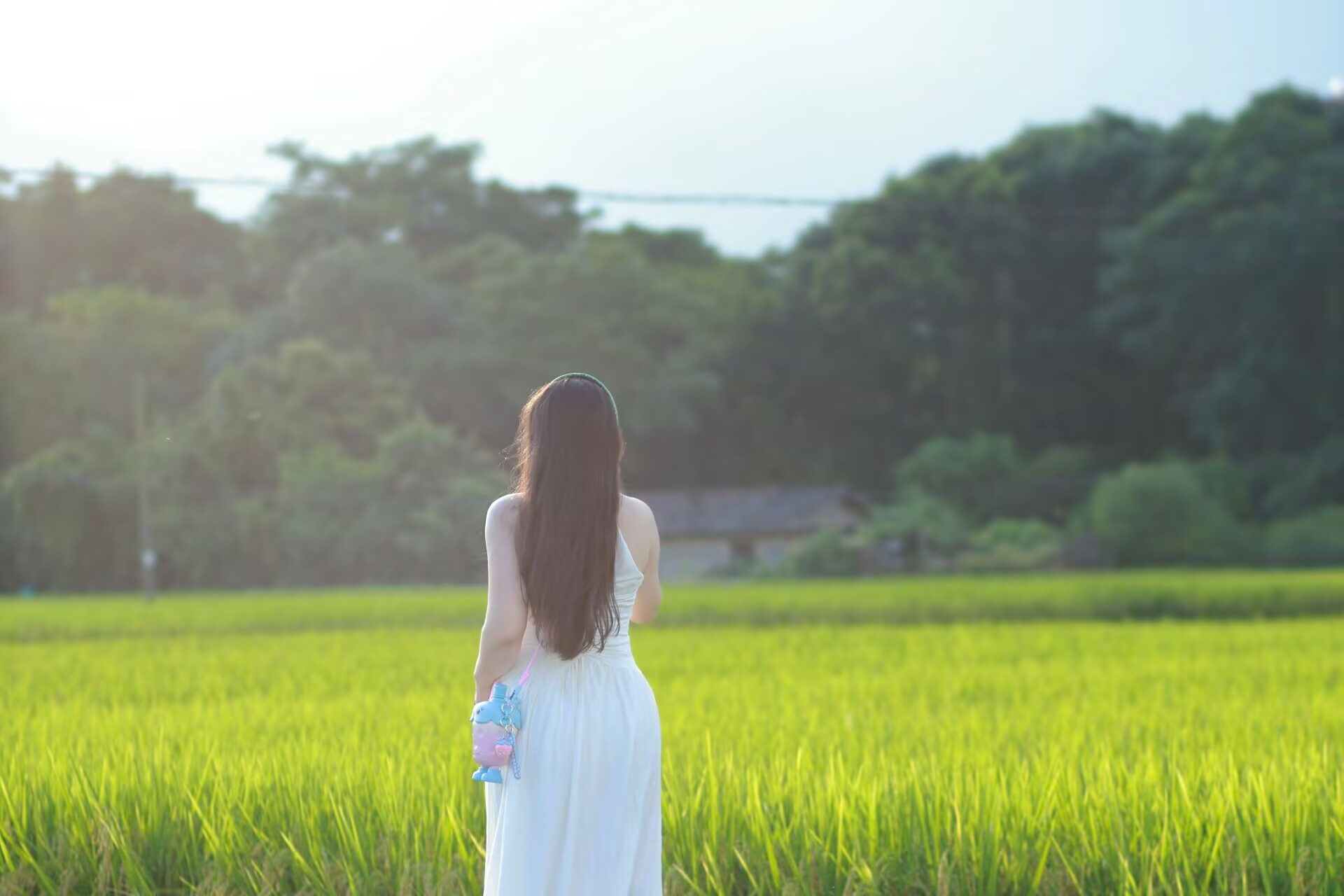 稻田白裙人物